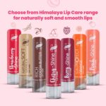 Himalaya Litchi Shine Lip Care