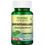 Morpheme Remedies Phyllanthus Niruri (Bhumyamlaki) Chanca Piedra - Stone Breaker - 500mg Extract